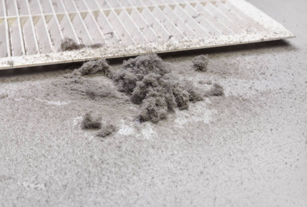 Best Emergency Air Duct Cleaning  in Hanapepe, HI